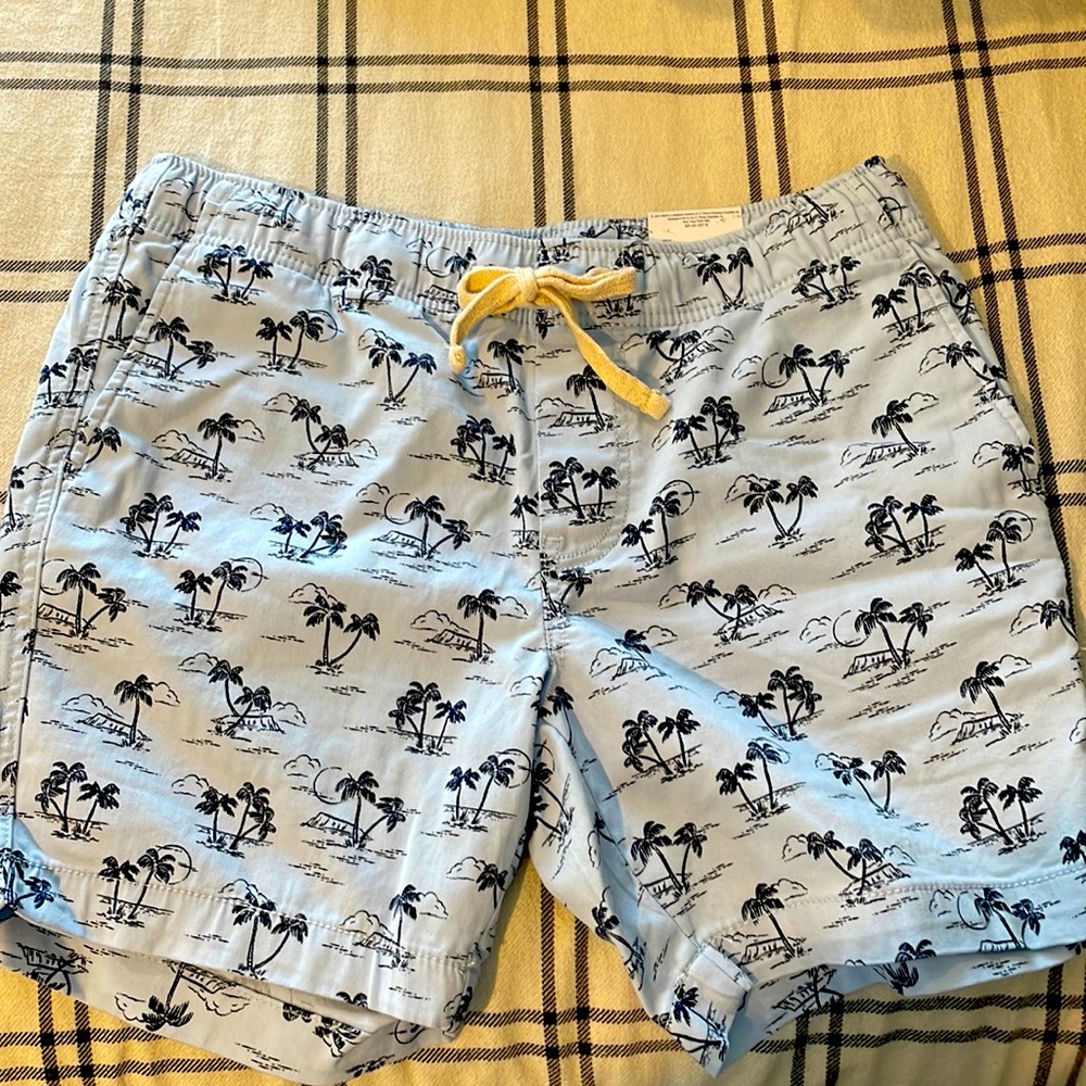 St Johns Bay Men’s Shorts